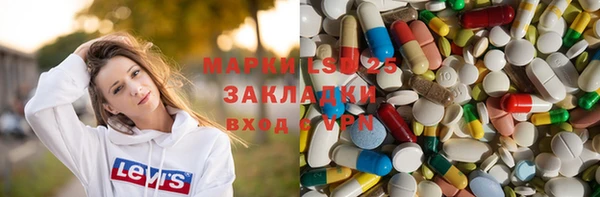 spice Новодвинск