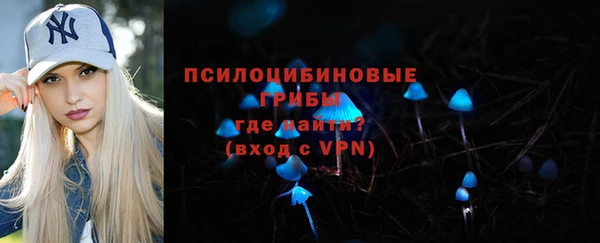 крисы Новокубанск