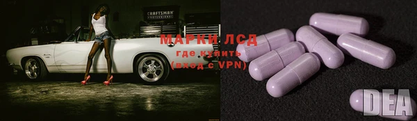 крисы Новокубанск