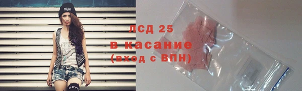 spice Новодвинск