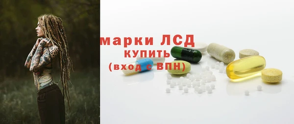 крисы Новокубанск