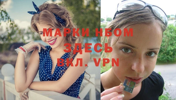 гидропоника Новозыбков