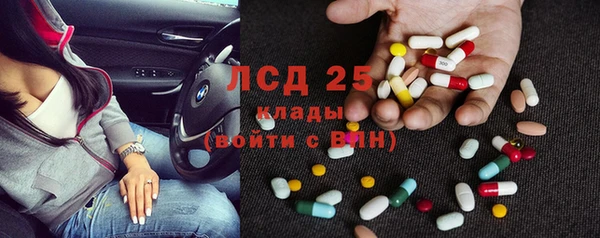 spice Новодвинск
