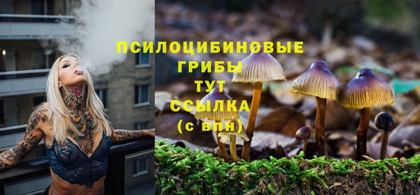 гидропоника Новозыбков