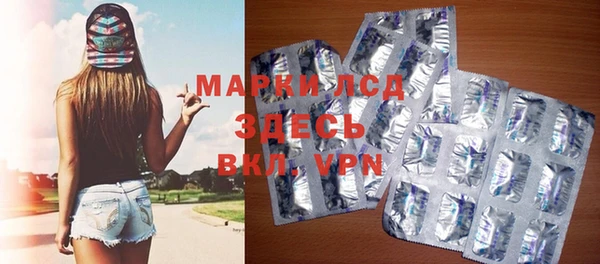 spice Новодвинск