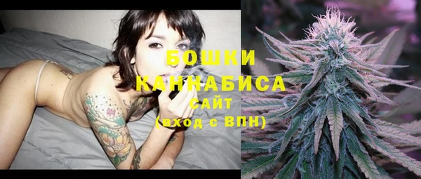 spice Новодвинск