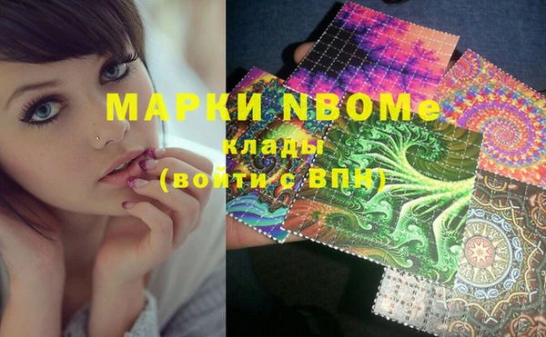 гидропоника Новозыбков