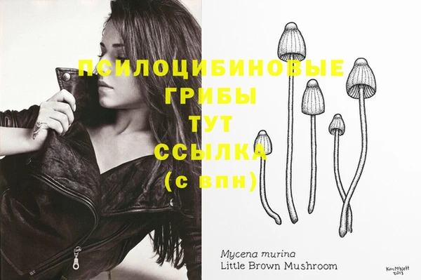 гидропоника Новозыбков