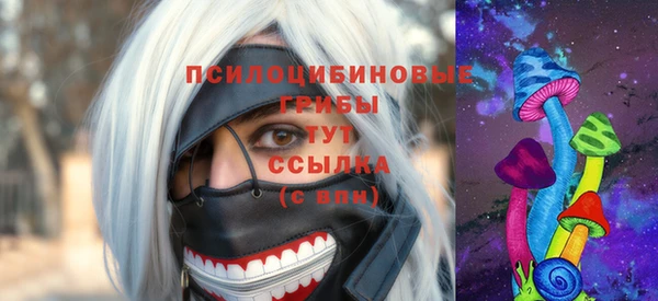 гидропоника Новозыбков