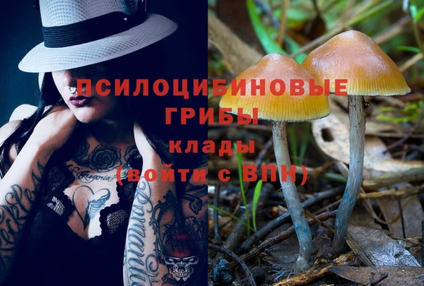 spice Новодвинск