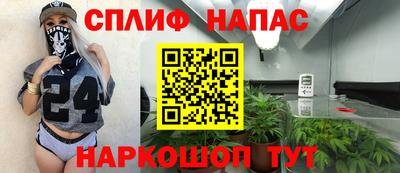 Альфа ПВП Бийск