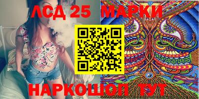 спайс Берёзовский