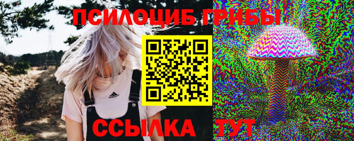 Галлюциногенные грибы Cubensis Иваново