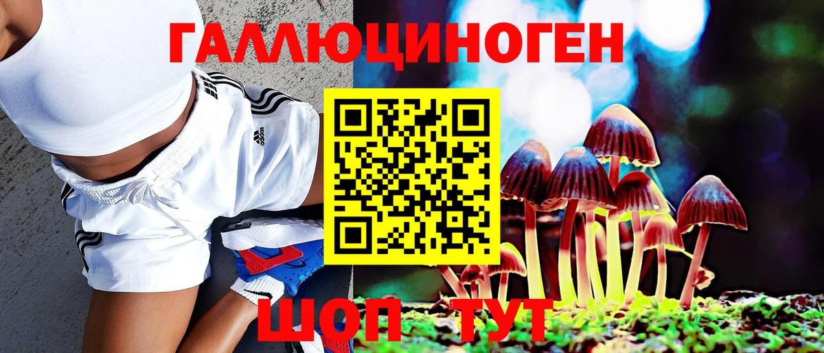 Галлюциногенные грибы Psilocybe  Иваново 