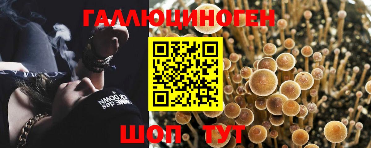 Псилоцибиновые грибы GOLDEN TEACHER  где можно купить наркотик  Иваново  Вход с VPN 